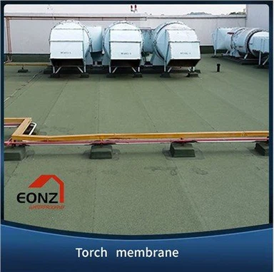 4mm Thick APP Membrane