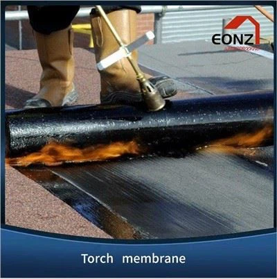 SBS Waterproof Membrane Roof